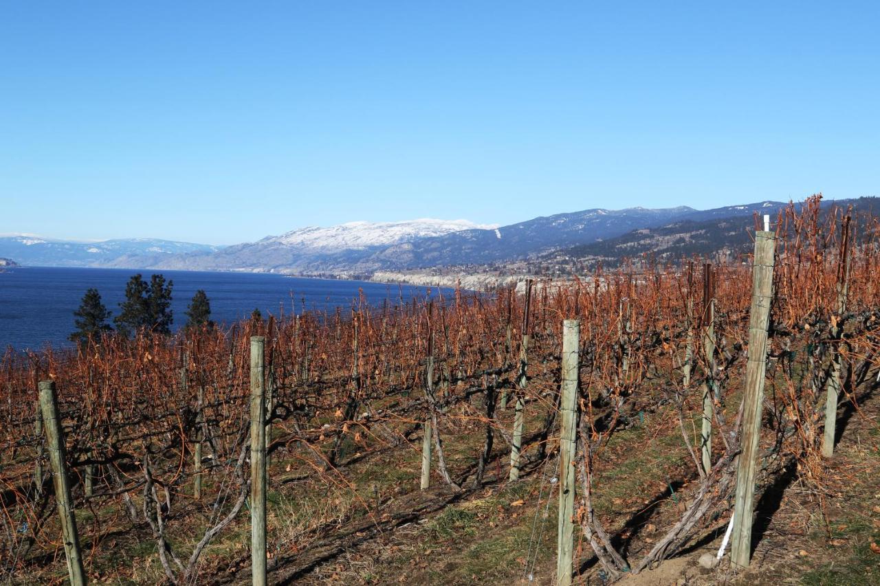 Sunshine And Wine Loft Hotel Penticton Exterior photo